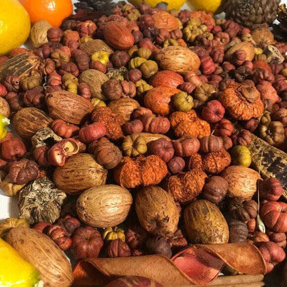 Potpourri Mix With Artificial Lemons & Oranges Fall Decor Premium Decorative - Picture 8 of 16